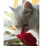 Оксана Булатова