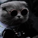 Ольга Иванова
