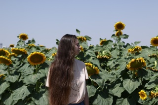Елена друскина