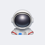 Инкогнито 1557