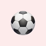 Инкогнито 2044