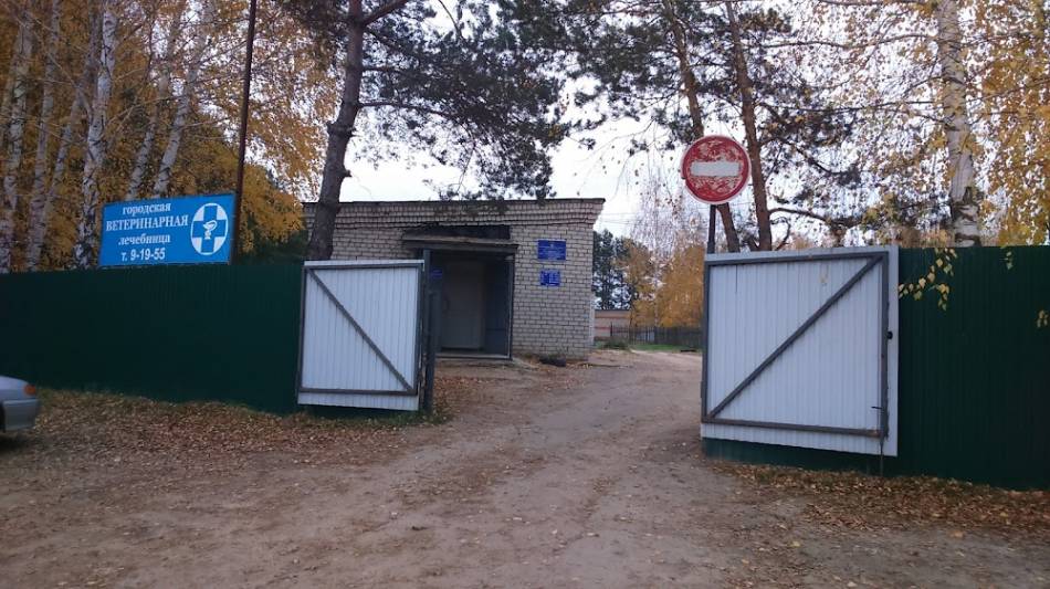 слайд