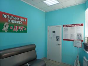 Фотография Друг 5