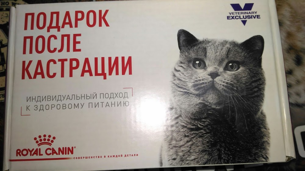 слайд