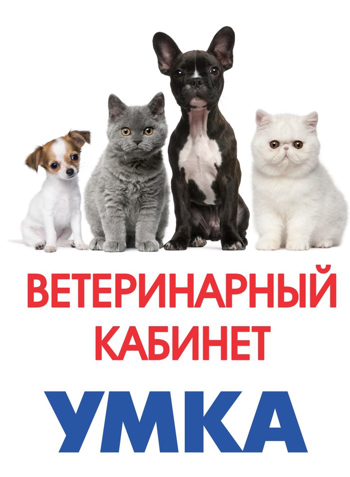 слайд