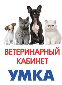 Фотография Умка 0