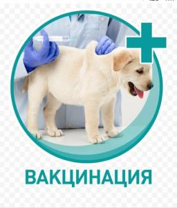 Фотография Добровет 5
