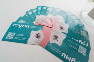 Фотография Груми 4