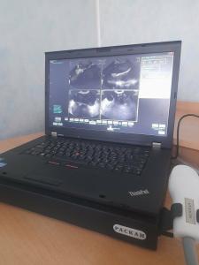 Фотография Айболит 4