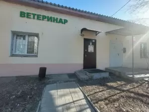 Фотография Зоолекарь 5