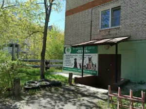 Фотография Веста 5