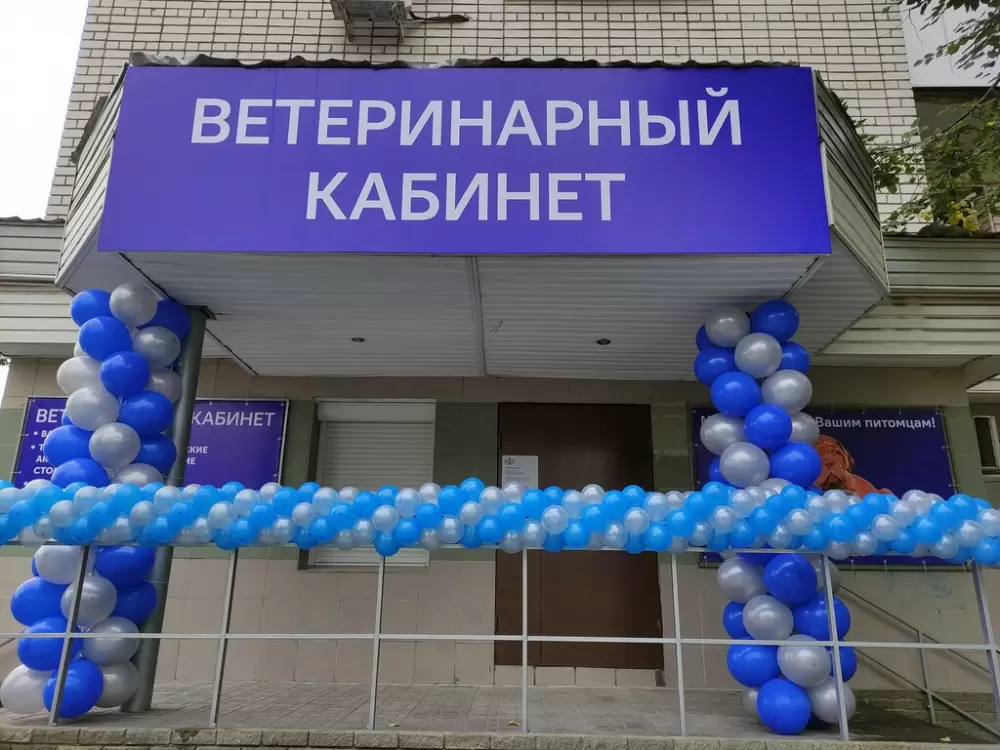 слайд
