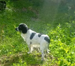 Фотография Ветеринарная клиника 5