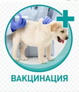 Фотография Добровет 5