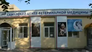 Фотография Друг 2