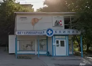 Фотография Друг 5