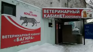 Фотография Багира 3