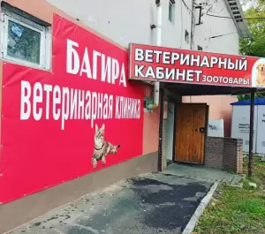 Фотография Багира 5