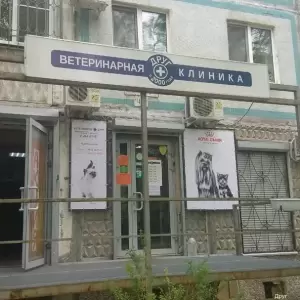 Фотография Друг 0