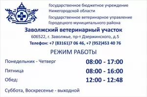 Фотография ГБУ Но Госветуправление Городецкого района 1