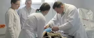 Фотография ГБУ Но Госветуправление Кстовского района 3