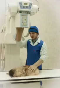 Фотография ГБУ НО 1