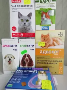 Фотография ГБУ НО 4