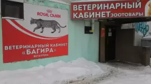 Фотография Багира 2