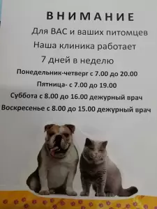 Фотография ГБУ НО 5
