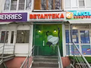 Фотография Доктор Zoo 5