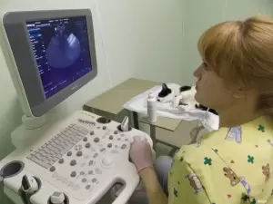 Фотография ИМВЕТ 2