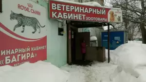 Фотография Багира 0